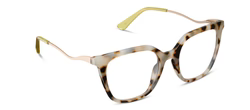 Josephine Chai Tortoise Readers