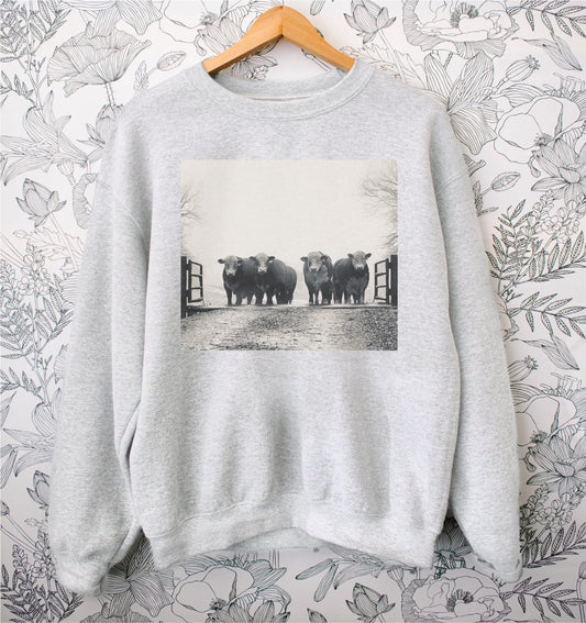 Hereford Cattle Crew
