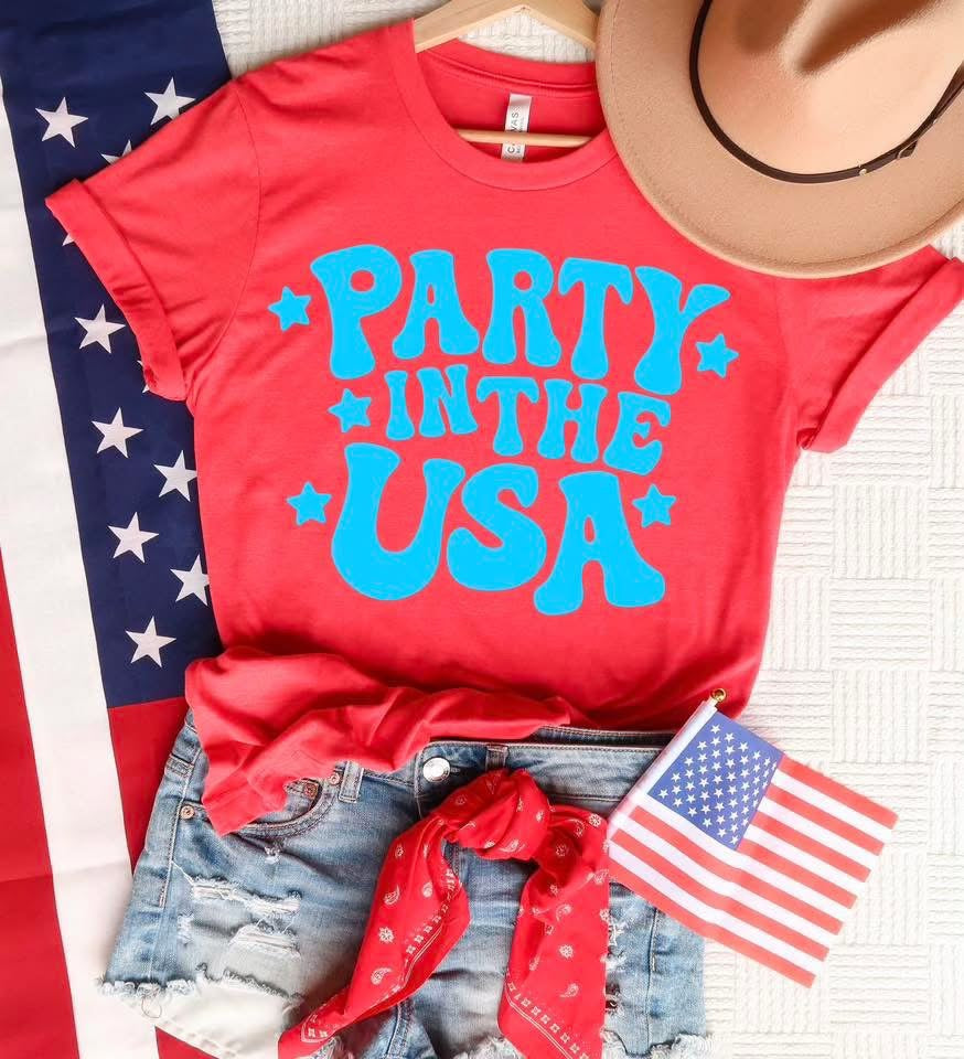 Party in the USA