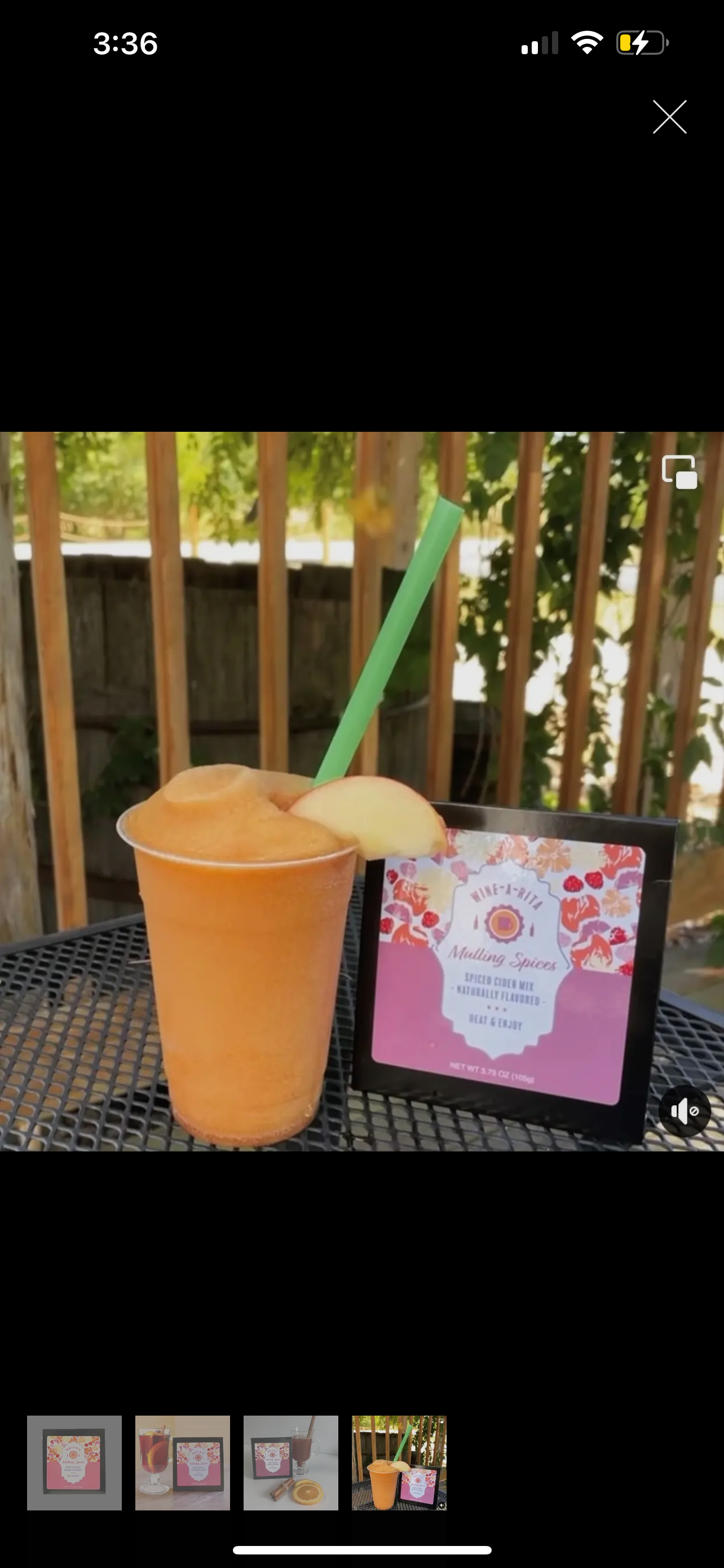 Orange Dreamsicle Mini